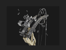 Load image into Gallery viewer, Hoyt Carbon RX10 Ultra