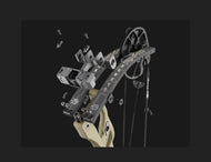Hoyt Carbon RX10